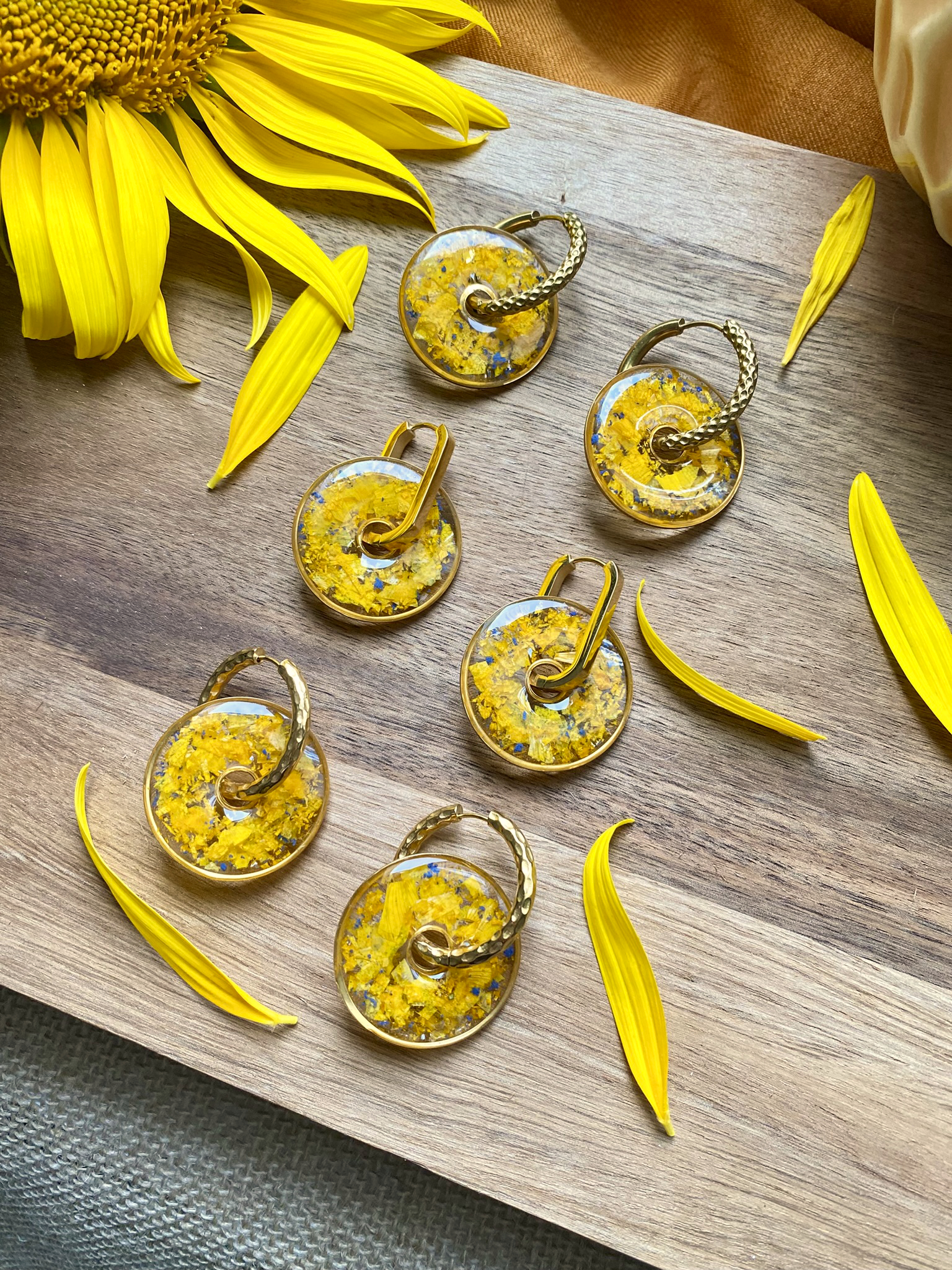 Tournesol (4)
