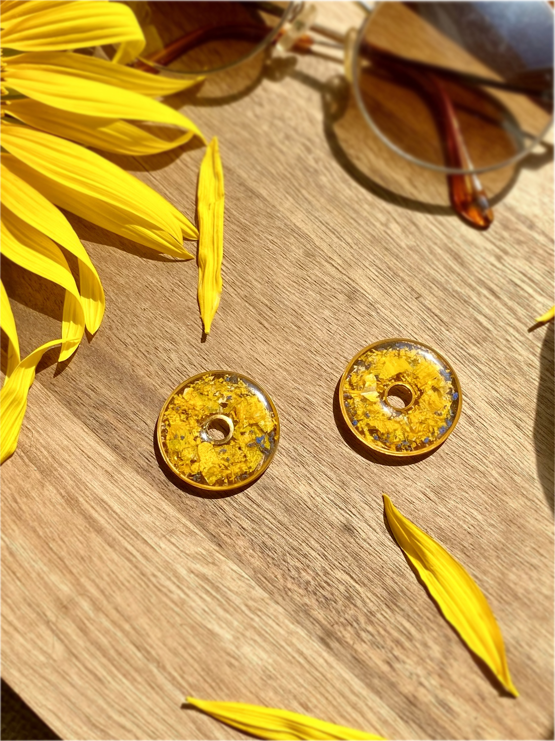 Tournesol (6)