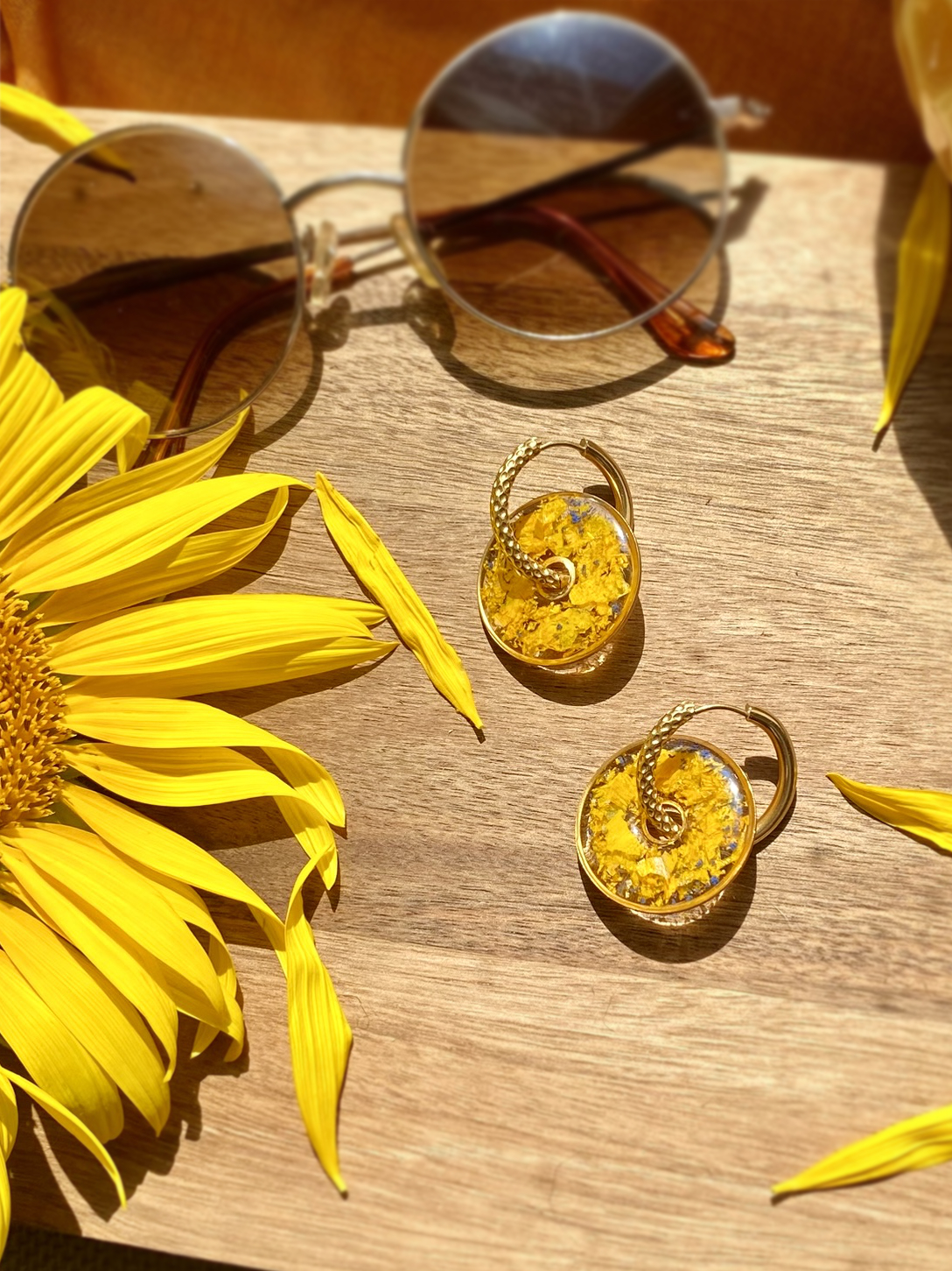Tournesol (7)