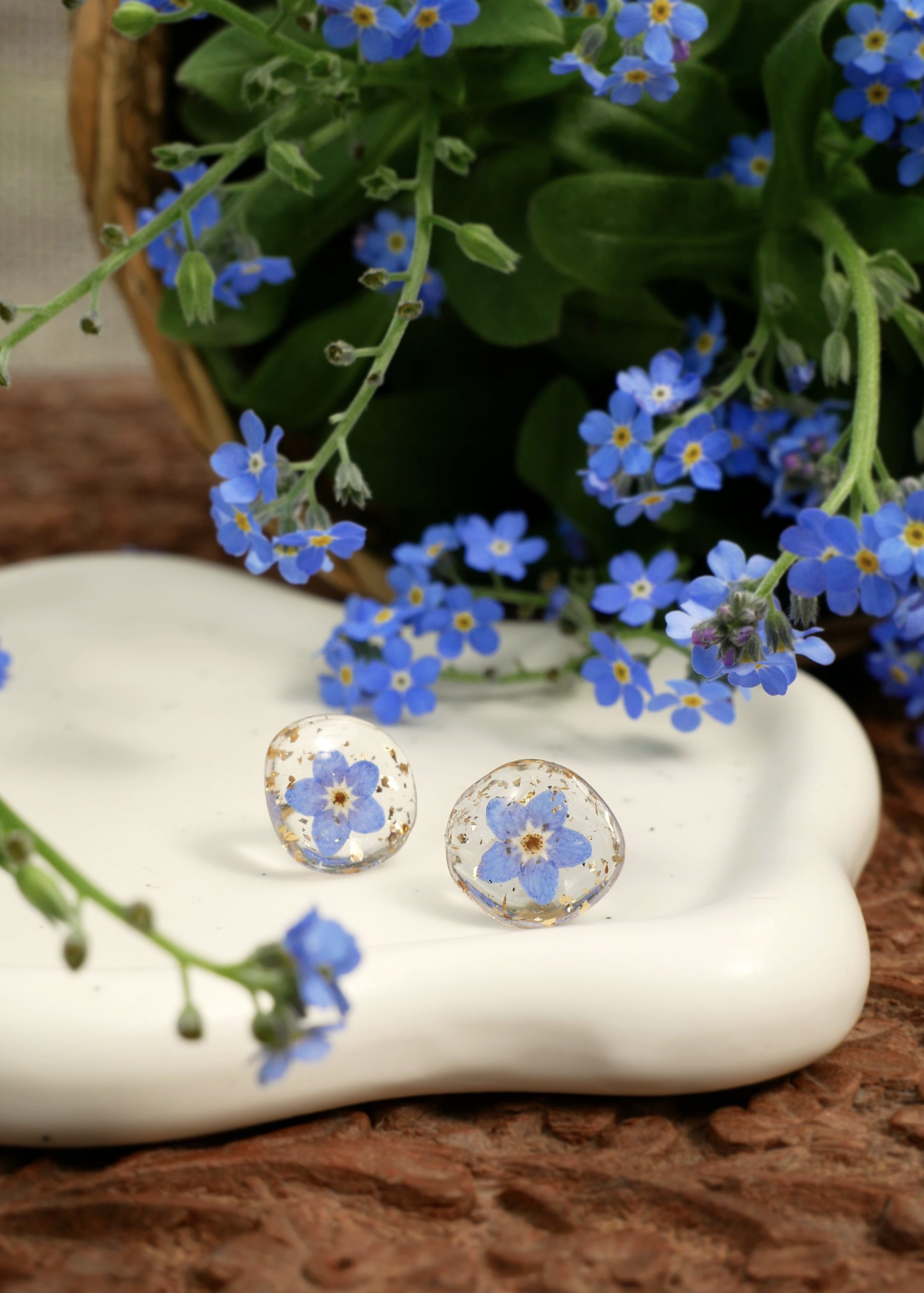 puces myosotis