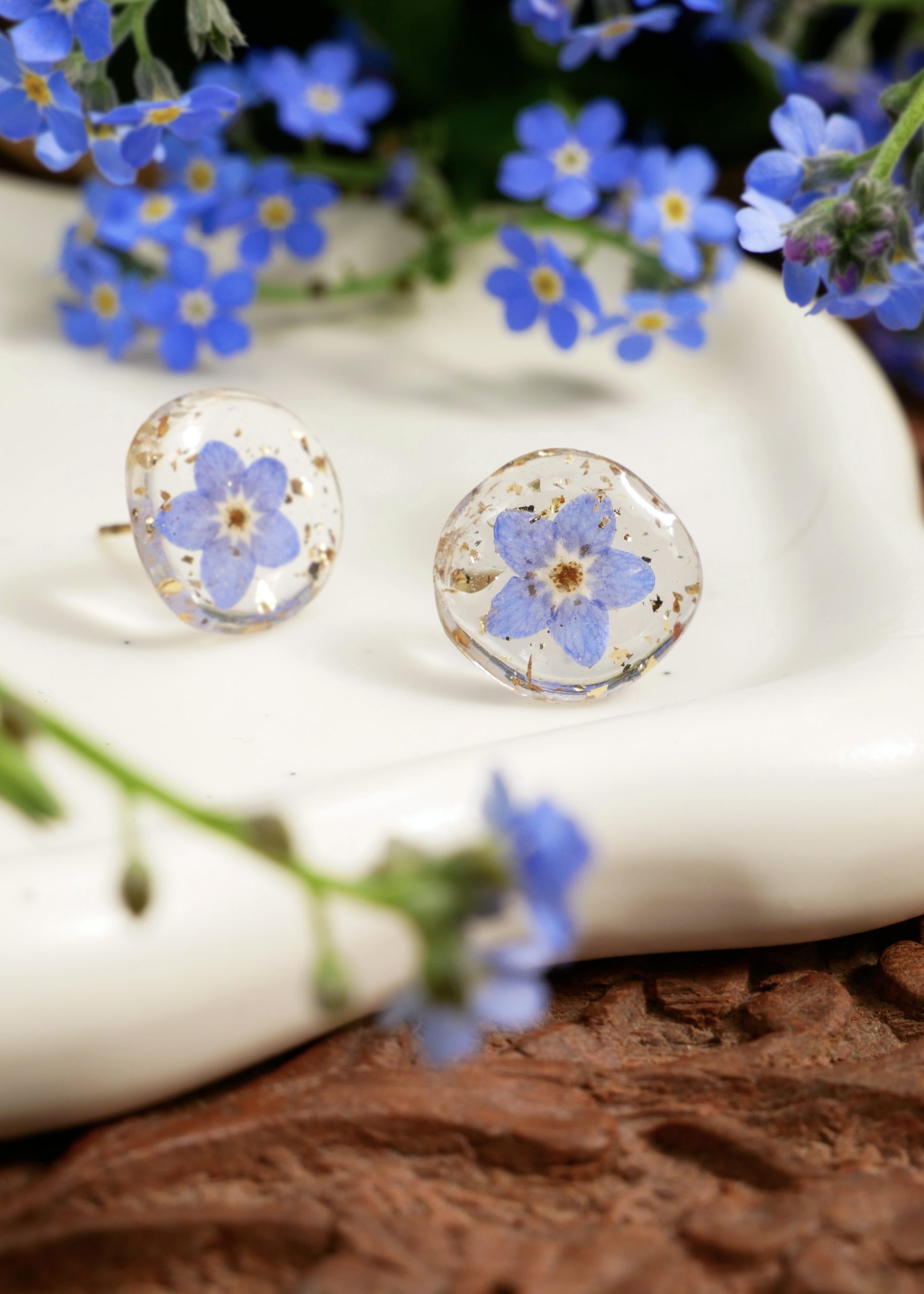 puces myosotis